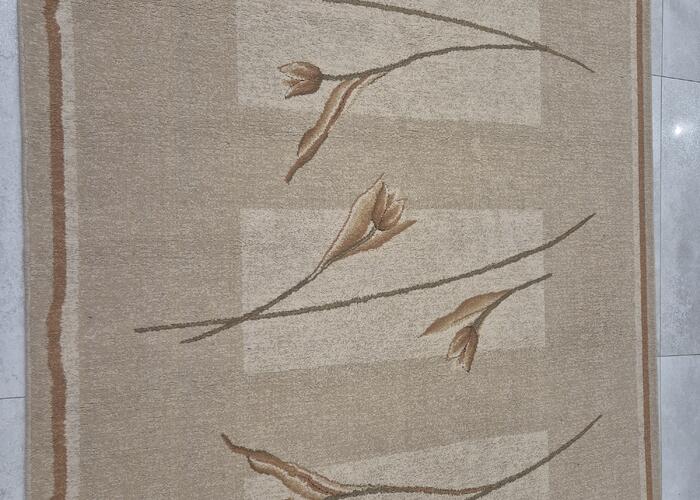 Grajewo ogłoszenia: Sprzedam dywan. Wymiary 160×220. Stan bardzo dobry.